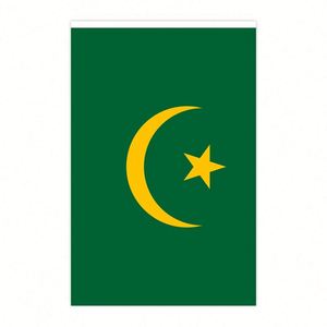 Wholesale 5.5x8 Inches Mauritania String Bunting <b>Flags</b> for Indoor and Outdoor Decoration(20pcs/set) - Product Image 3