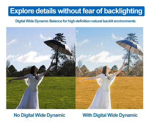 Smart Internet <b>Camera</b> Tour Shop Scenic 2Mp Shop Decoration Light Level Infrared Hemisphere <b>Network</b> Wireless <b>Camera</b> Oem Factory - Product Image 5