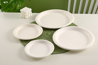 Écologique Biodégradable Compostable Réutilisable Moderne Canne à Sucre Bagasse Pâte À Papier Plaques Jetables Plateaux Fêtes Restaurants