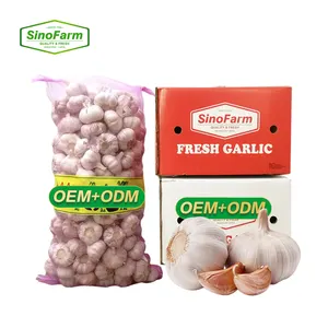 Fresh ajo garlic 2023 crop supply as garlic normal white and pure white alho from Chinese garlic supplier