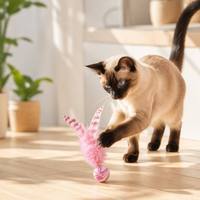 Jouet à mâcher en sisal pour chat, bâton interactif double texture avec plumes et balle rebondissante marbrée, pour l'exercice des chatons d'intérieur