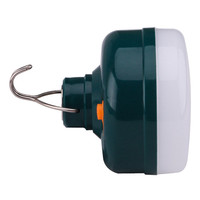Nouveau Style 12W 36W LED ampoule de secours lumière USB Rechargeable économie d'énergie pour entrepôt jardin télécommande ROHS plastique