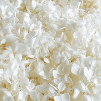 Pétales d'hortensia multicolores naturels biodégradables pour confettis de mariage et créations d'art en résine DIY, pétales d'hibiscus