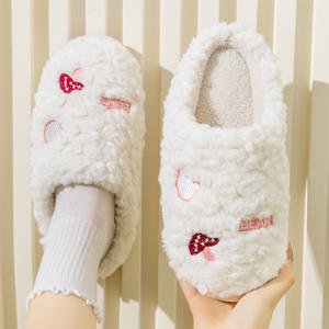 Chaussons en peluche brodés de haute qualité, mignons et confortables, en coton doux, pour hommes et femmes, motif dessin animé tendance, parfaits pour le printemps - Product Image 2