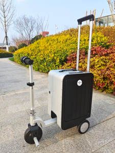 Aliotop vendite dirette Smart moderno <span class=keywords><strong>Scooter</strong></span> elettrico guida Box leggero e portatile per bambini e adulti - Product Image 6