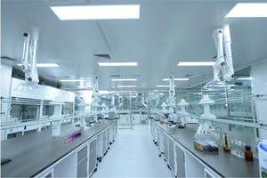 Kapsul Melon pahit Herbal Reishi kapsul Herbal grosir dengan sertifikat GMP - Product Image 6