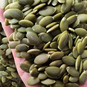 Graines de <span class=keywords><strong>citrouille</strong></span> bio fraîches à coque verte de grande taille, vente en gros <span class=keywords><strong>d</strong></span>'usine chinoise, pour la boulangerie, collation saine, noix - Product Image 6