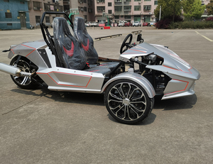 Triciclo da Corsa T-Rex per Adulti Colore Argento Fantasia a Telaio Aperto 350cc a Benzina con 3 Ruote e Retromarcia per Passeggero - Product Image 1