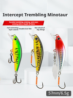 Leurres de pêche Minnow Jerkbait ABS 5,7 cm/6,5 g pour la pêche au bar, au saumon, à la truite - Utilisation en mer, en bateau, en rivière et en lac