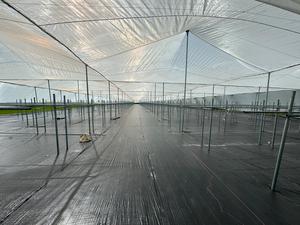 Düşük maliyetli tarım çok açık sera HDPE 40 50 mesh böcek önleyici sineklik sera <span class=keywords><strong>net</strong></span> ev sebze meyve - Product Image 3