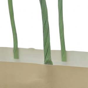 Caja de Regalo de Papel Beige de Lujo con Asas de Cuerda Trenzada de Papel Verde, Empaque Elegante para Gafas/Relojes Diseñado para Marcas Premium - Product Image 5