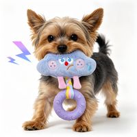 Mainan Hewan Peliharaan Bentuk Awan Grosir dengan Strip Gigit TPR dan Squeaker untuk Kucing dan Anjing, untuk Mengunyah dan Bermain Interaktif