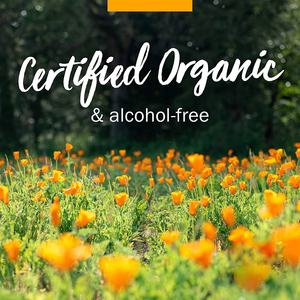 Özel etiket organik ekinezya kök sıvı ekstresi bağışıklık sistemi desteği alkol ücretsiz gliserit 1 ons - Product Image 4