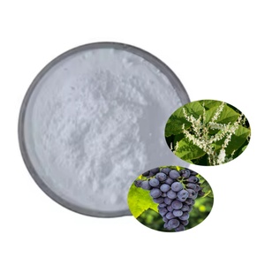Extracto de Planta, Venta Directa de Fábrica, Polvo de Resveratrol de Alto Contenido, Cápsulas y Tabletas - Product Image 2