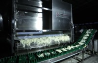 Ligne de production entièrement automatique de séchage d'oignon de prix usine/dessiccateur multicouche continu avec du CE