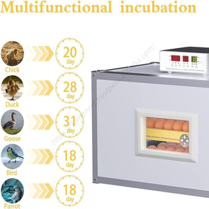 Incubadora Doméstica al por Mayor, Totalmente Automática, Inteligente en Chino e Inglés, para Pollitos Grandes, con Temperatura Constante - Product Image 3