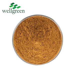 Wellgreen ผง Schidigera,ผงสารสกัดจากต้นยูโคนิน <span class=keywords><strong>Rostrata</strong></span> ละลายได้สารสกัดจากต้นยัคคะ - Product Image 3