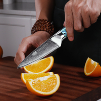 Vindking Prachtige Serie 67 Lagen Damascus Stalen Keuken Fruitmessen Abalone Hars Handvat 3.5 Inch Groenteschild Mes