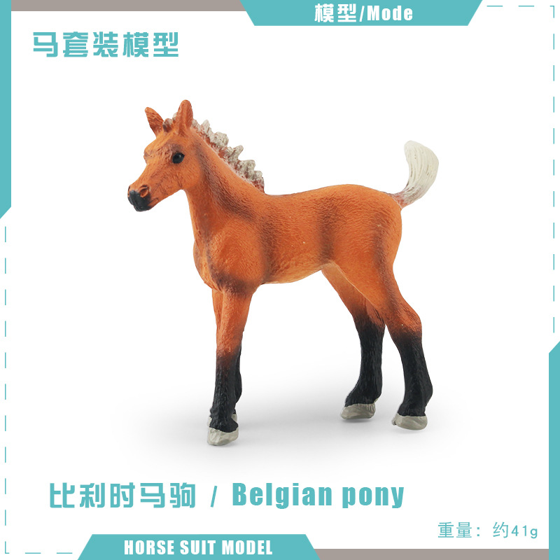 T15820 belinian PONY 41g