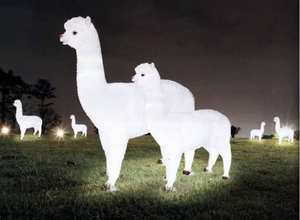 Alpaca Led Motif Lamp For Parks Gardens And Festivals Ip65 Outdoor Decorative <b>Lights</b> For Holiday Displays - Product Image 1