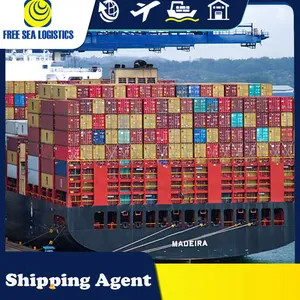 Shenzhen Sea Freight Forwarder Shipping To Mozambique Maputo Beira by Sea DDP Service Customs Clearance Taxes Included