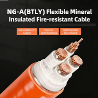 Câble ignifuge NG-A (BTLY) de haute qualité, âme en cuivre, faible émission de fumée, sans halogène, pour systèmes électriques industriels et de bâtiment