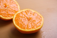 Mandarines japonaises au goût rafraîchissant, fruits frais naturels de qualité supérieure, fournisseurs en gros