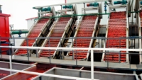 Volledig automatische tomatenverwerkingsapparatuur, turnkey tomatenpuree productielijn, mixer voor tomatensausconcentraat