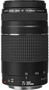 Kit Canon <span class=keywords><strong>EOS</strong></span> <span class=keywords><strong>2000D</strong></span> (EF-S 18-55mm IS II) + EF 75-300 f4-5.6 III - Product Image 3