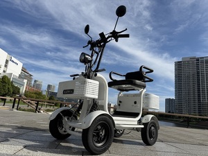 Vehículo Eléctrico de Cuatro Ruedas Compacto y Pequeño de Baja Velocidad para el Transporte Diario de Adultos - Product Image 3