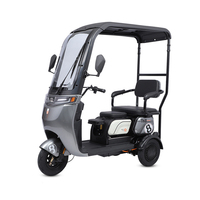 Paige Tricycle électrique camping-car tricycle motorisé réfrigéré voiture roadster 3 roues ebike vélo atv utilisé pour la vente de marchandises réfrigérées