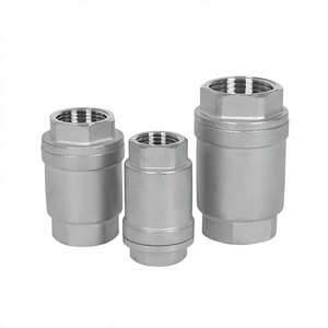Válvula de Retención Vertical de Acero Inoxidable ACKO SS304/316, Válvula Unidireccional con Rosca Hembra para Tuberías de Agua y Aceite - Product Image 4