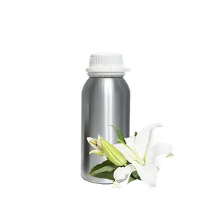 エアフレッシュアロマセラピーオイルアロマディフューザー純粋な香水オイルを使用