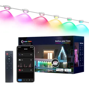 Banqcn Permanent Outdoor Christmas LED Smart IC RGB Trim Light Year Round Holiday Outdoor String Light with APP Eaves Light