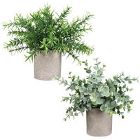 Plantes artificielles Hedyotis Diffusa en pot de pulpe, petites plantes d'intérieur écologiques pour la décoration de bureau et de maison, vente en gros