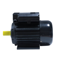Moteurs électriques à induction monophasés AC série YL 220v 4kw 5.5hp pour pompes