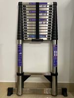 Échelle télescopique en acier inoxydable compacte et légère En131 150 kg, échelle pliante en gros