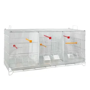 Cage pour animaux de compagnie en gros vente finch d'oiseaux reproducteurs