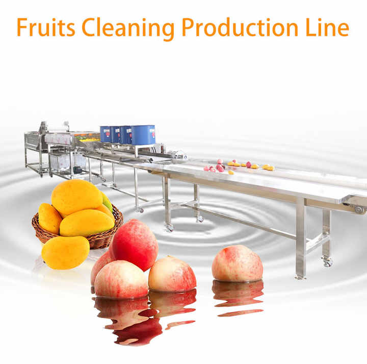 Full Solution Salak Washing and Dry Processing Line