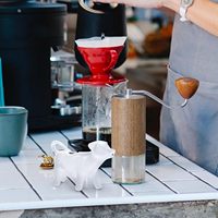 Yardwe 13 oz Carafe à lait en céramique en forme d'animal et tasse à latte motif floral 40 ml Minimalisme moderne Dehua