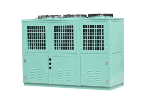 Offre Spéciale : Unité de Condensation à Compresseur à Refroidissement par Air, Type V, Grand Volume d'Air, à Décharge Supérieure - Product Image 2
