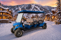 Voiturette de golf 6 places pour adultes, batterie lithium 60V, tout-terrain, électrique, contrôleur Curtis, quatre freins à disque