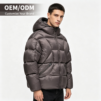 Manteau matelassé pour homme, 90% duvet, 150g 200g de garnissage, capuche, col amovible, coupe ajustée, manteau d'hiver matelassé
