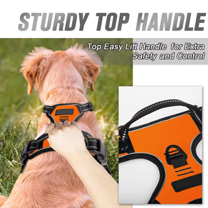 เสื้อกั๊กฝึกสุนัขสีส้มแบบกำหนดเองได้ ปรับขนาดได้ สายรัดอกลูกสุนัข XS Schrittgeschirr Fur Welpen เพื่อความสะดวกสบายสำหรับคุณและสุนัขของคุณ - Product Image 2