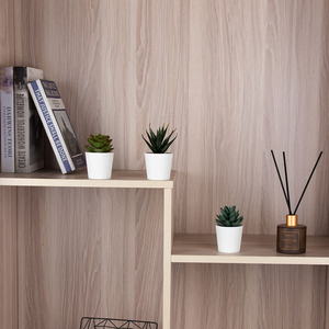 Ensemble de 3 mini-plantes succulentes en plastique - Petites plantes artificielles de bureau avec pots décoratifs - Product Image 5