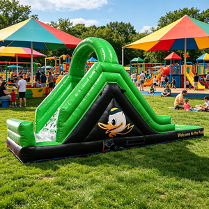 WINSUN Inflatable Water Slide Castle with Pool-PVC Material Outdoor Use - Product Image 1