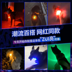 Collier lumineux LED pour chien, clignotant, multicolore, pour chiens de petite, moyenne et grande taille, pour la sécurité nocturne. - Product Image 2