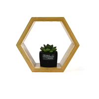 Ensemble d'étagères hexagonales en bois à montage mural de 3 étagères, étagère suspendue pour salon bureau chambre salle de bain