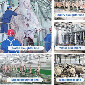 Ligne complète d'abattage des truies Maisheng pour boucherie équipement d'abattoir de porc ligne d'abattage de porc - Product Image 5