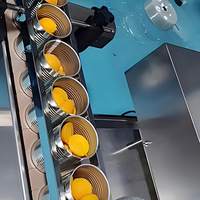 Machine de mise en conserve semi-automatique multifonctionnelle en acier inoxydable 304 pour pêches jaunes, tranches d'ananas, fraises et cerises